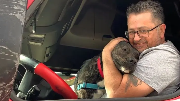This Dog Was Adopted After 372 Days Spent At The Shelter