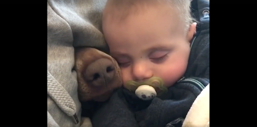 Baby and Dog Team Up for the Cutest Naptime Ever